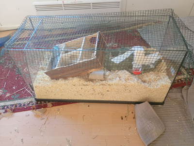 Terraario