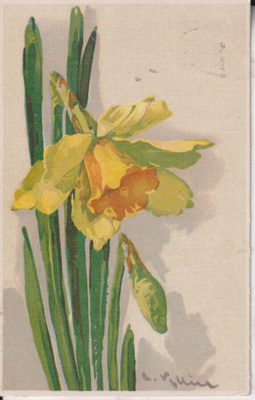 E. Klein, kukka ,      e179