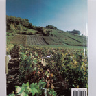 Pamela Vandyke Price : Dictionary of wines and spirits - pikkukuva 2