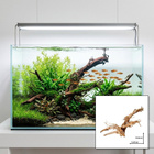 Uniikki akvaariojuurakko 57 cm | P052620 - pikkukuva 1