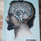 Human Anatomy - Depicting the body from the renaissance to.. - pikkukuva 3
