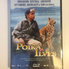 Poika ja ilves (1998 Konsta Hietanen, Jarmo Mäkinen DVD UUSI - pikkukuva 1