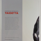 Kokoelma kotimaista taidetta - pikkukuva 2