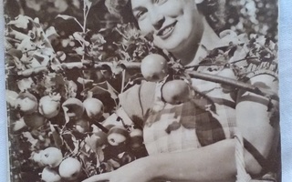 Suomen Kuvalehti N:o 37 syyskuu 1953