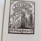 Samuli Paulaharju : Rintakyliä ja larvamaita : Kurikan va... - pikkukuva 3