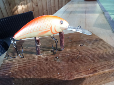 Salmo Floating Hornet 6