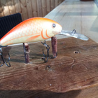 Salmo Floating Hornet 6 - pikkukuva 1