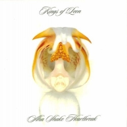 Kings Of Leon - Aha Shake Heartbreak (CD)