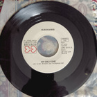 Hurriganes - My Only One / Crazy Days 1975 - pikkukuva 2