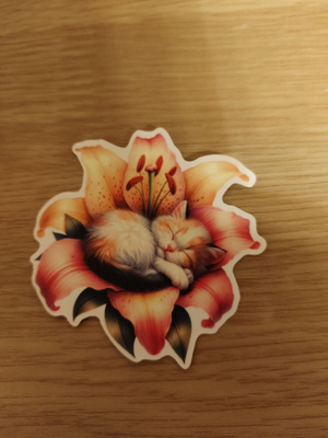 Kissa tarra.