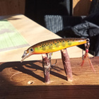 Rapala X-Rap 4cm ahvenelle - pikkukuva 2