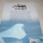 Madagascarin pingviinit - pikkukuva 5