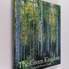 The green kingdom : Finland's forest cluster - pikkukuva 1