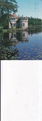 Pori, Reposaari, Junnilan lampi , b604