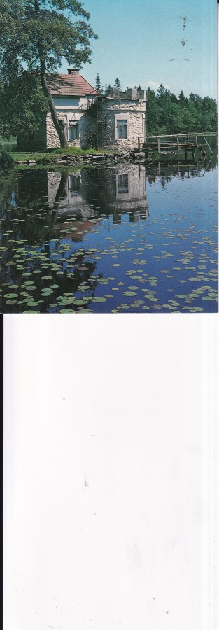 Pori, Reposaari, Junnilan lampi   , b604