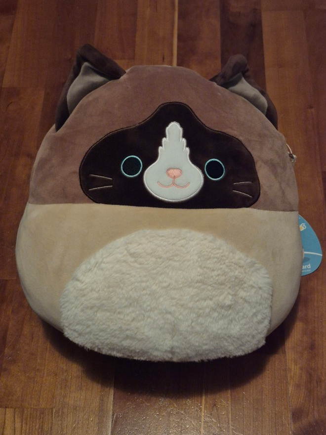 Squishmallows pehmo Woodward (kissa) h=30cm (#3234)