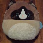 Squishmallows pehmo Woodward (kissa) h=30cm (#3234) - pikkukuva 1