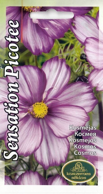 Punakosmos "Sensation Picotee" siemenet #