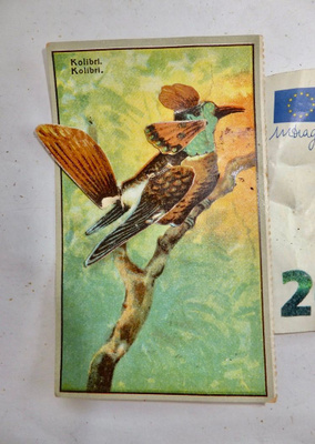 VANHA Suklaakortti Fazer Lintu Koibri 3D Moniosainen 1920-l
