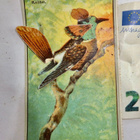 VANHA Suklaakortti Fazer Lintu Koibri 3D Moniosainen 1920-l - pikkukuva 1