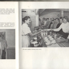 SATAKUNNAN OSUUSTEURASTAMO PORI 1919-1959 - pikkukuva 5