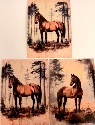 Postikortit HEVOSET / 3 kpl -setti