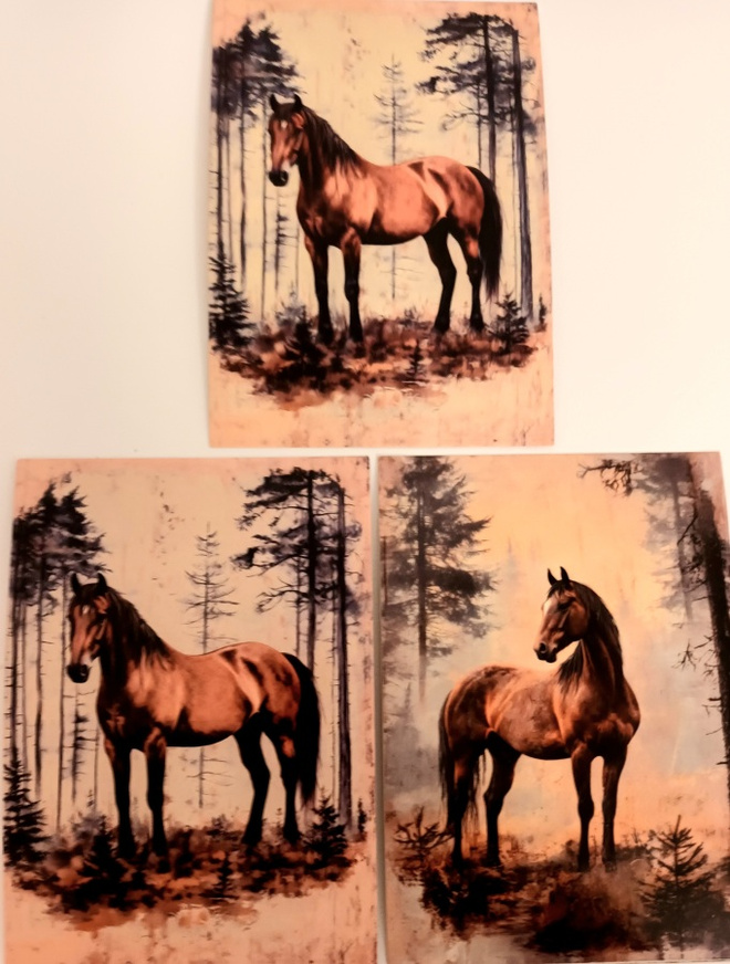 Postikortit HEVOSET / 3 kpl -setti