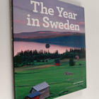 Kim Loughran : The year in Sweden - pikkukuva 1