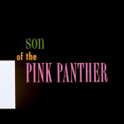SON OF THE PINK PANTHER dvd 1993 ***UUSI, MUOVEISSA*** - pikkukuva 3