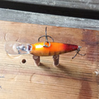 Daiwa Prorex BABY CRANK 4cm - pikkukuva 4