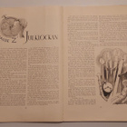 Lucifer 1935 - Tove Jansson & Signe Hammarsten-Jansson - pikkukuva 4