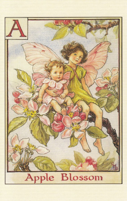 Cicely Mary Barker: Omenankukka, kirjain A