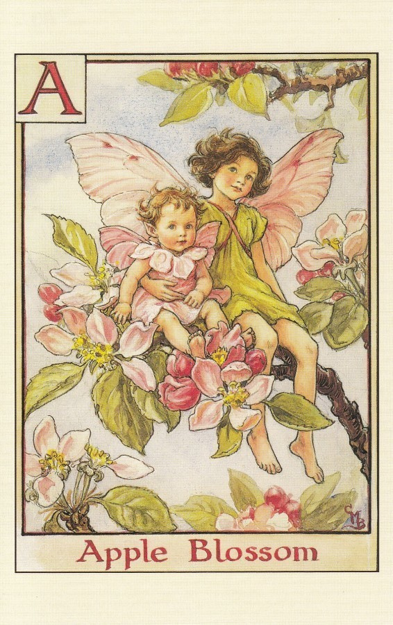 Cicely Mary Barker: Omenankukka, kirjain A