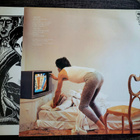 Mick Jagger: She's the Boss lp - pikkukuva 2