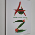 Nalle Ritvola : Alphabet naturel du Benin : päivät Benini... - pikkukuva 1