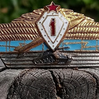 CCCR Militariamerkki 1 Luokka. Halkaisija - 66 mm. - pikkukuva 4