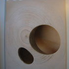 Puu lehti 2008 vuosikerta, 4 kappaletta lehtiä - pikkukuva 3