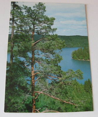 Aulanko, Lusikkaniemi