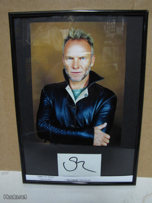 STING PROMOKUVA +  NIMIKIRJOITUS ! KEHYSTETTY !