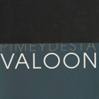 Leonhard Lapin : Pimeydestä valoon - pikkukuva 1