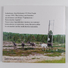 Arja Kotiranta : Kultaa taivaalla kristallia hangella - pikkukuva 2