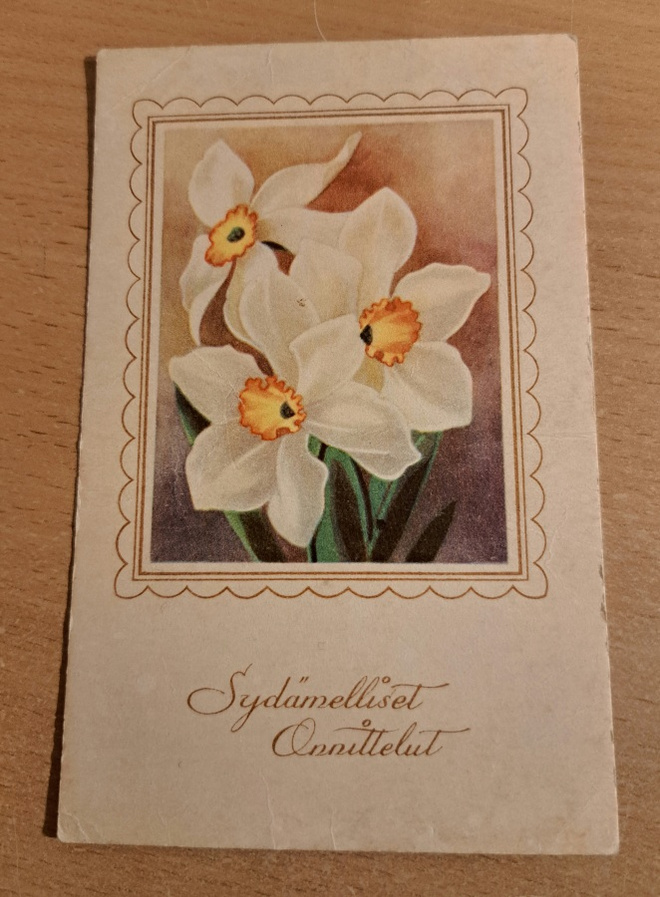 kukkia, narsissi, pääsiäiskortti, kulkenut käsipostissa