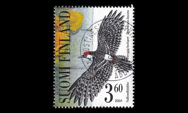 1565 o Tikkalintuja kaunis Turku (2001)