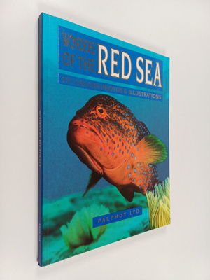 David Fridman : Wonders of the Red sea