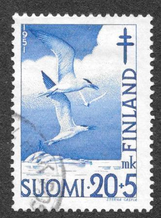 Tuberkuloosi 20+5mk 1951 (LAPE 398) O