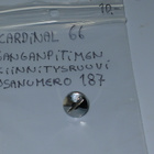 Cardinal 66 - pikkukuva 1