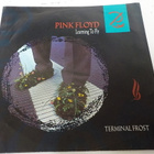 PINK FLOYD - LEARNING TO FLY VAIN KANNET EX 7" - pikkukuva 1