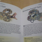 Bugs - Expert Guide - Paula Hammond - Uusi - pikkukuva 5