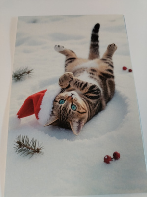 Kissa joulu kortti kulkematon.