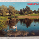 Tampere, Sorsapuisto - pikkukuva 1
